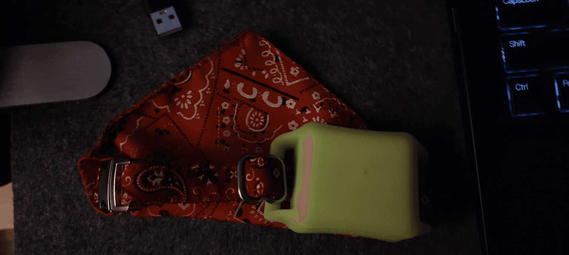 The tracker on the collar